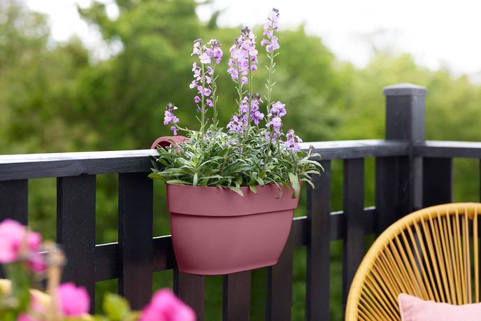 vibia campana easy hanger medium puderrosa